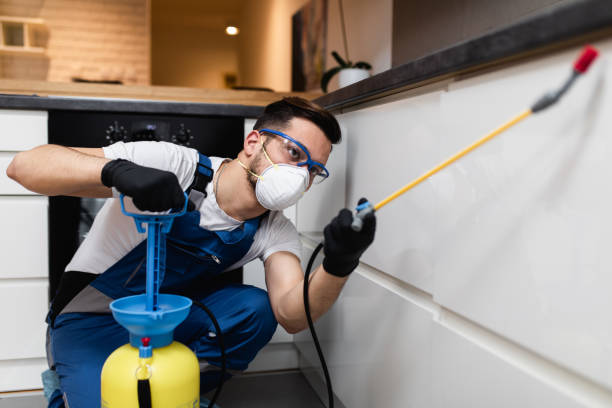 Best Pest Prevention Services  in Enoch, UT