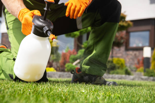 Best Termite Control Services  in Enoch, UT