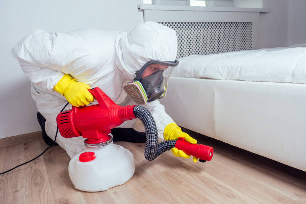 Best Wasp Removal Services  in Enoch, UT