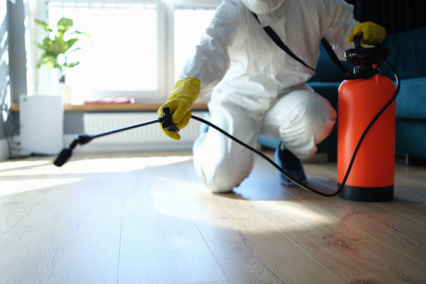 Best Termite Control Services  in Enoch, UT