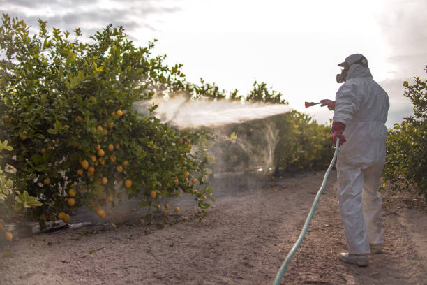 Best Bird Control  in Enoch, UT