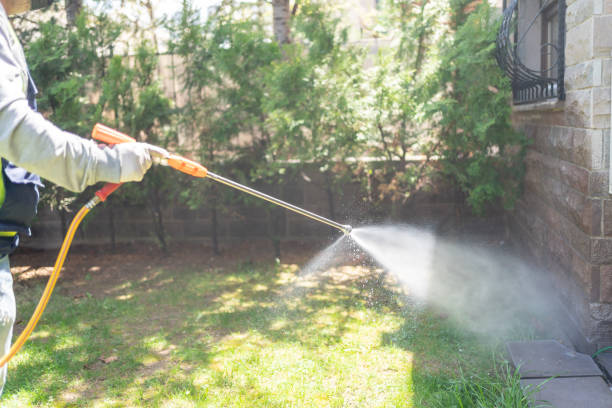 Pest Prevention Services in Enoch, UT