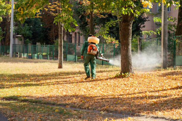 Best Residential Pest Control  in Enoch, UT
