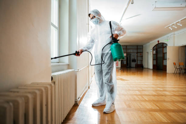Best Affordable Pest Control Services  in Enoch, UT